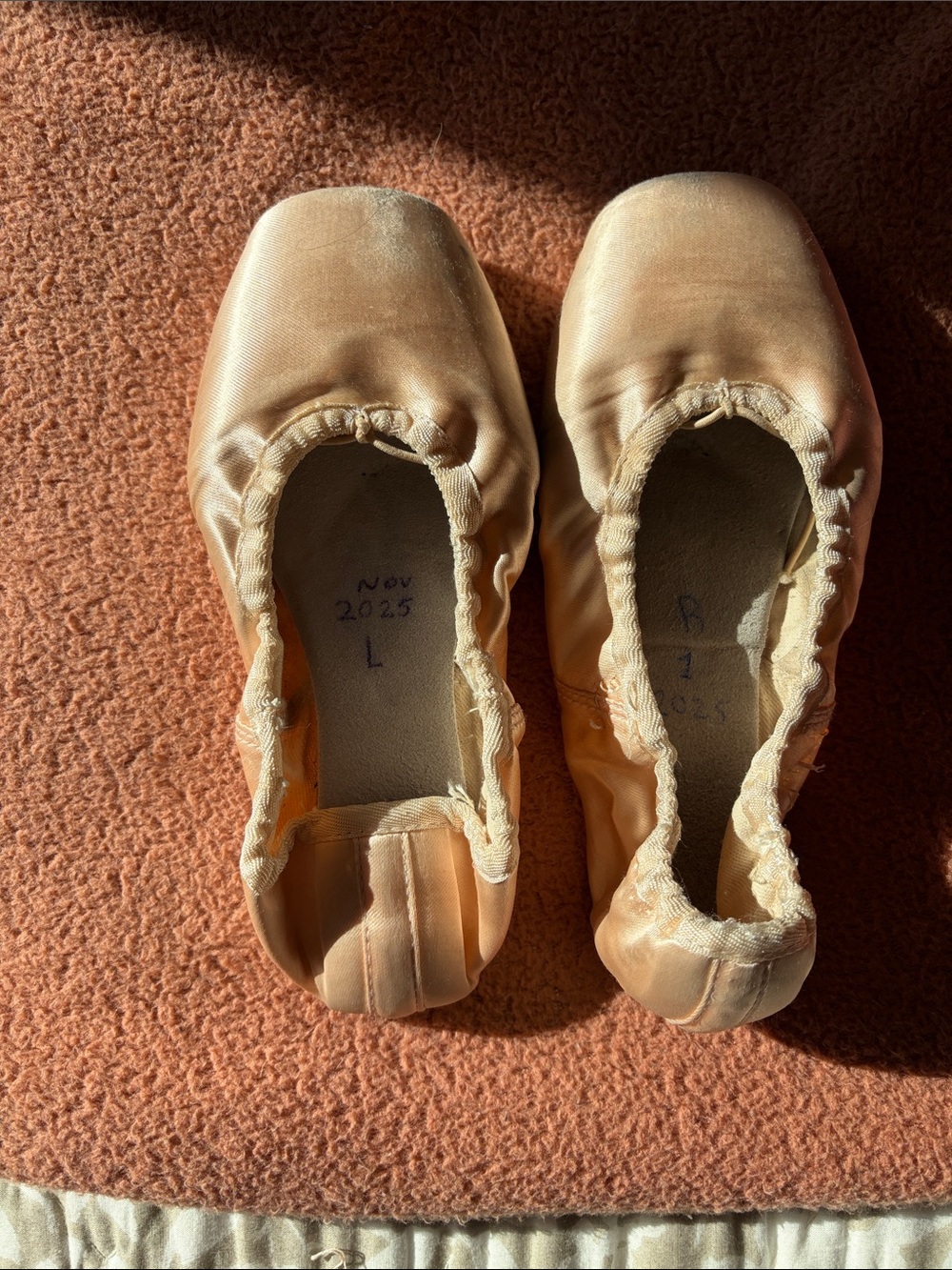 Pointe Shoes for Craft